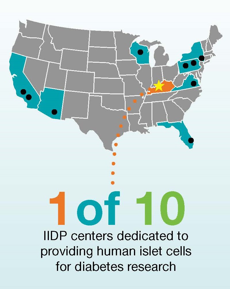 Islet cell program at Wendy Novak Diabetes Institute is part of a nationwide network.